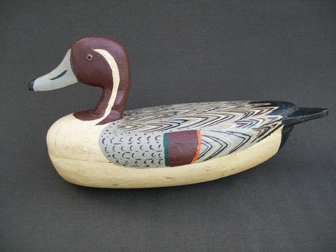 Illinois River Fred Mott Pintail