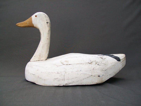 Illinois River Snow Goose