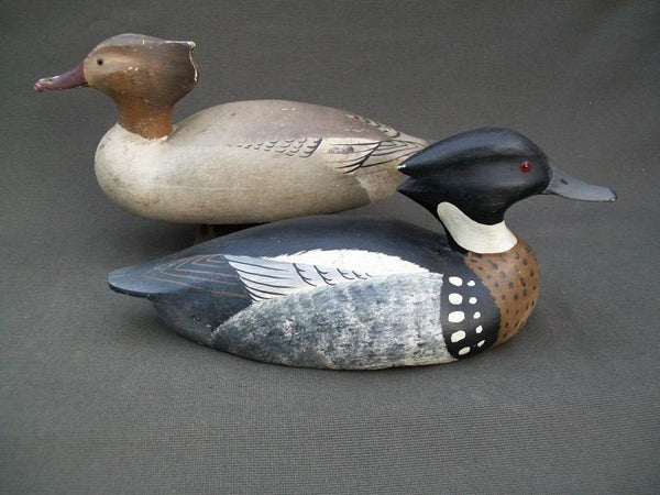 J.J. West Working Red Breasted Mergansers Pair