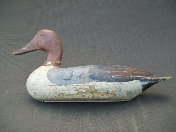 Richard Sheppard Pintail Drake Pekin Illinois