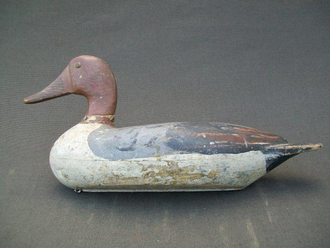 Richard Sheppard Pintail Drake Pekin Illinois