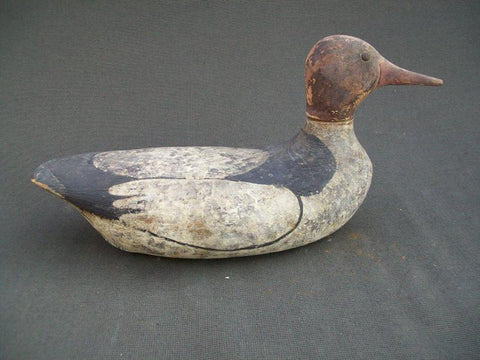 Vintage Tack eye Merganser
