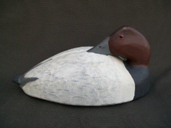 John Barrett Canada Sleeper Canvasback