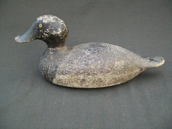 Evans Competition Grade Blue Bill