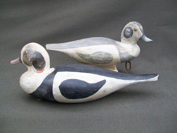 Great Bay Outlaws Duncan Szeliga Pair of Old Squaws  (#1929)