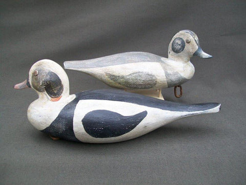 Great Bay Outlaws Duncan Szeliga Pair of Old Squaws  (#1929)