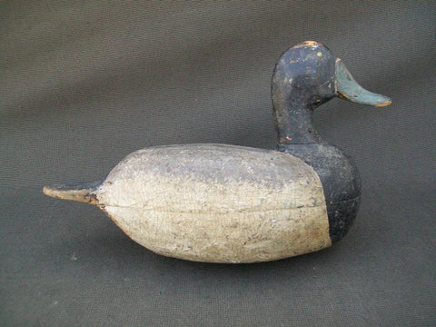 Illinois River Blue Bill with weight