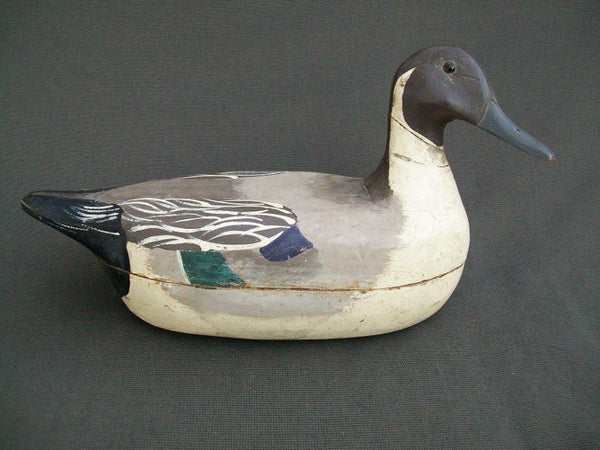 Zarnicki Working Pintail with Weight