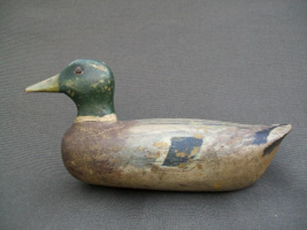 Illinois River Tackeye