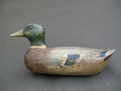 Illinois River Tackeye