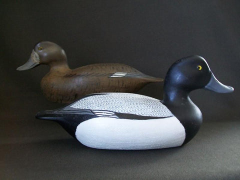 Virgil Lashbrook Blue Bills Pair Signed