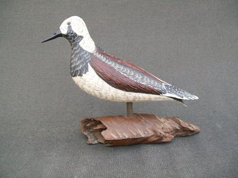 Standing Ruddy Turnstone