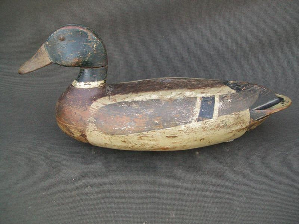 Leonard Doran Mallard Drake, Pekin Illinois