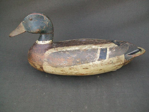 Leonard Doran Mallard Drake, Pekin Illinois