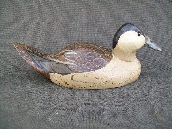 Ruddy Duck by Charles Moore