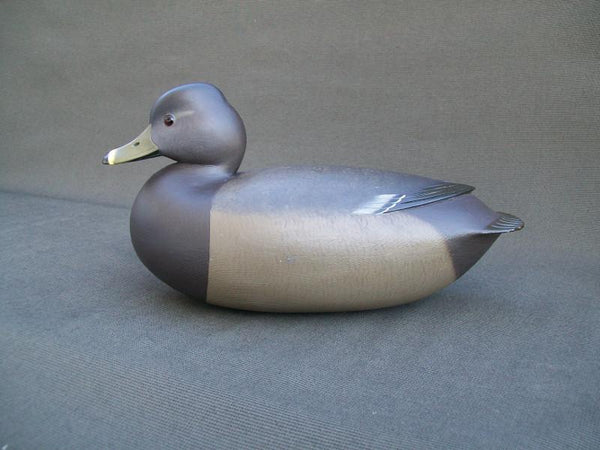 Ringneck Hen by Rick Brown