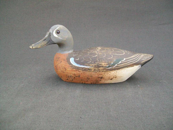 Kirkpatrick Blue Wing Teal, slightly turned head
