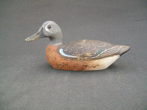 Kirkpatrick Blue Wing Teal, slightly turned head