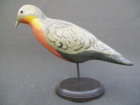 Herters Passenger Pigeon