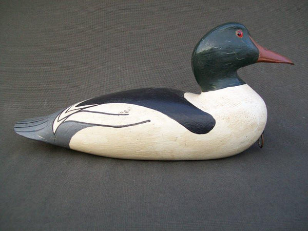 Dallas Valley Common Merganser