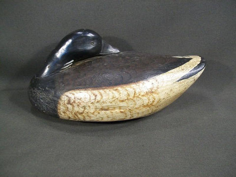 Long Island Sleeping Brant Working Wooden Decoy
