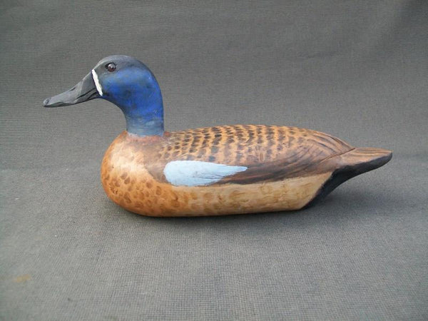 Elliston Style Blue Wing Teal