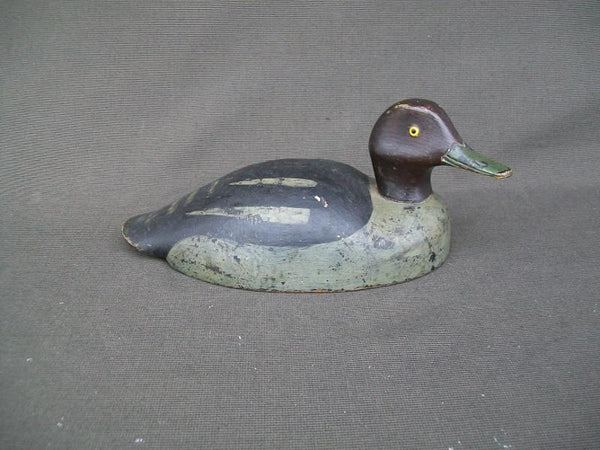 Canadian Red Head Drake Ontario