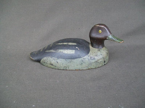 Canadian Red Head Drake Ontario