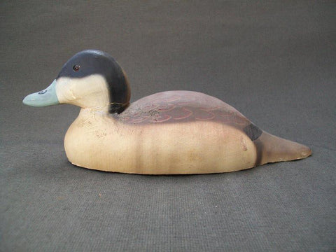 Herters 1893 Series Ruddy Duck
