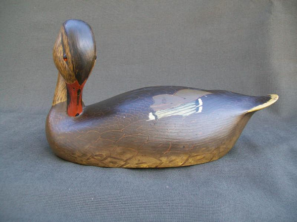 Ken Harris Mallard, Striking Head Position