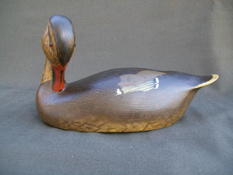 Ken Harris Mallard, Striking Head Position