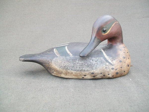 Preening Green Wing Teal- Dennis Entwistle