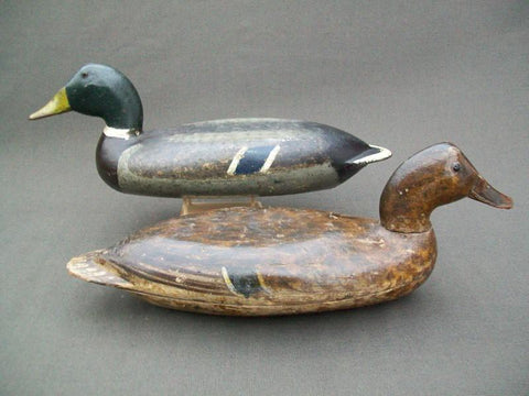 Elliston Mallards Pair