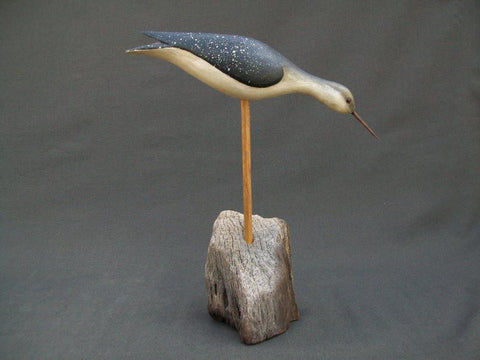 Jerry Siloski Feeding Shorebird - Decatur, Illinois