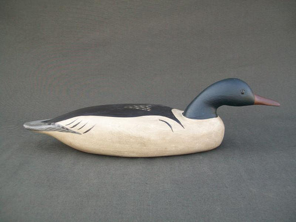 Charlie Moore Swimming Merganser