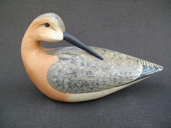 H V Shourds III Preening Shorebird from the Joe French Collection