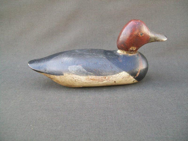 Mason Painted Eye Redhead