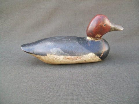 Mason Painted Eye Redhead