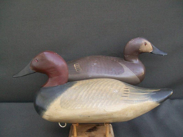 Madison Mitchell Canvasbacks