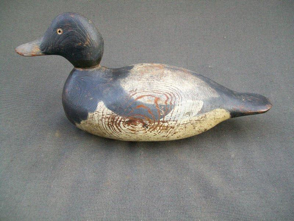 Hayes Blue Bill Drake