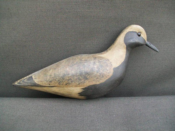 Harry Shourds Black Belly Plover