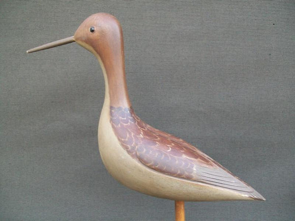 Illinois River Fred Destri Shorebird