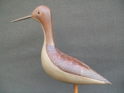 Illinois River Fred Destri Shorebird