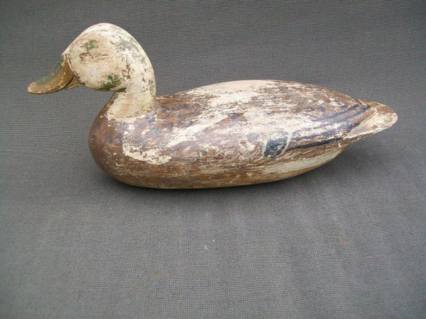 Henry Taubert Sr. Working Mallard Hen Pekin Illinois