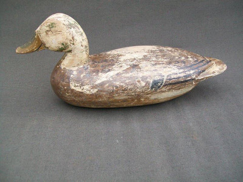 Henry Taubert Sr. Working Mallard Hen Pekin Illinois