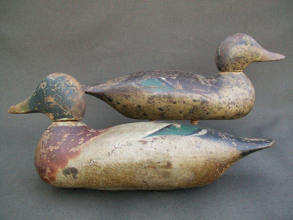 Hays Mallards - Rigmates Pair