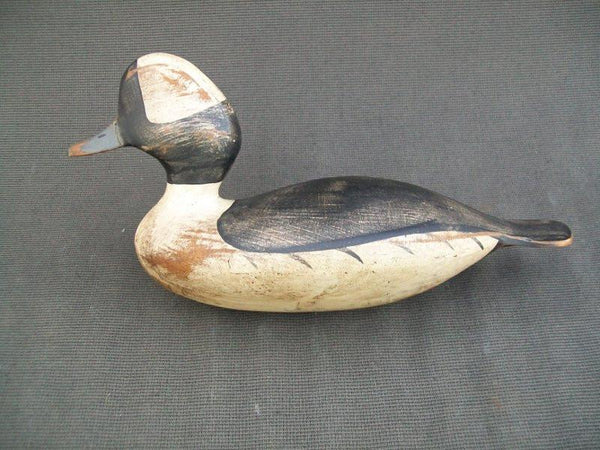 TJ Hooker Bufflehead