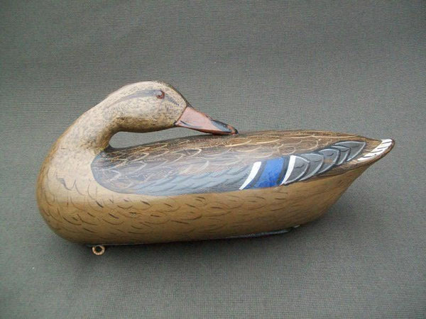 Perdew Style Sleeper Mallard Hen by Charles Moore with weight
