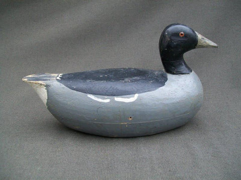 Charles Schoenheider, Sr. Coot Circa 1920's