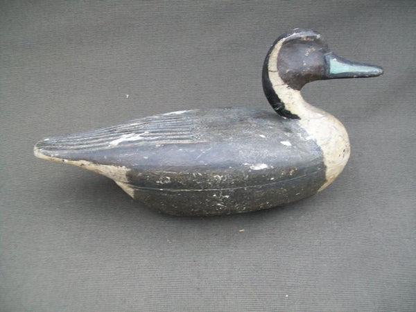 Illinois River Wilcoxen Pintail Drake with weight
